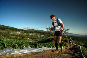 BIB: 
                            <button type="button" onclick="openModal(19122182)" class="btn btn-primary btn-sm float-right btn-popup" data-toggle="modal" data-target=".modal-high-quality">
                        <i class="fas fa-shopping-cart"></i> Add to Cart
                    </button>
                                            <button type="button" onclick="isThisMe(19122182, true)" class="btn btn-success btn-sm float-right btn-popup btn-isme hidden" data-toggle="tooltip" data-placement="bottom" title="นี่คือรูปของคุณใช่ไหม คลิกที่นี่เพื่อเอาเข้าอัลบั้ม">
                        <i class="fas fa-plus"></i> Add to album
                    </button>
                    <button type="button" onclick="isThisMe(19122182, false)" class="btn btn-warning btn-sm float-right btn-popup btn-isnotme hidden">
                        <i class="fas fa-ban"></i> Remove from album
                    </button>